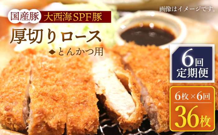 【6回定期便】大西海SPF豚 国産豚 厚切りロース とんかつ用 6枚 ＜大西海ファーム＞ [CEK176]