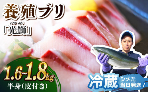 ブリ 【着日指定可】 魚 ブロック 刺身 「光鰤」半身 約1.6～1.8kg  西海市産 魚 ブロック 刺身 ブリ ぶり ブリしゃぶ ＜小山水産＞ [CDZ005]