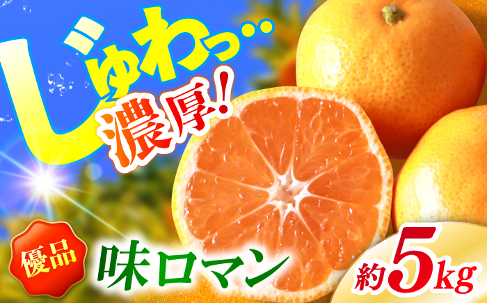 【優品】 長崎味ロマン みかん 約5kg＜長崎西彼農業協同組合＞ [CGU002] ミカン 蜜柑 みかん 高糖度みかん 贈答 ギフト 長崎県産 みかん 西海