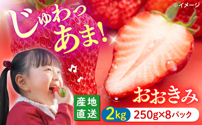 【大玉色鮮やか！】西海市産いちご「おおきみ」2kg（250g×8パック）＜武藤農園＞ [CFV005]