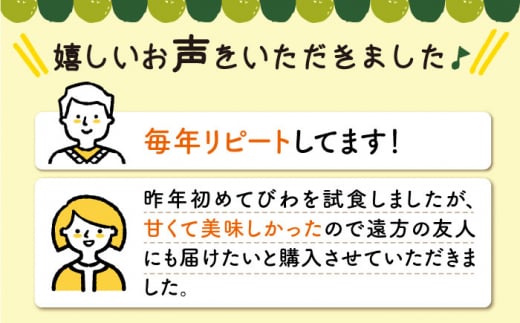 びわ 2Lサイズ 24玉（約1kg～1.5kg）  西海市 びわ ビワ 果物 フルーツ 2Lサイズ ＜代田浩人＞ [CEO001]