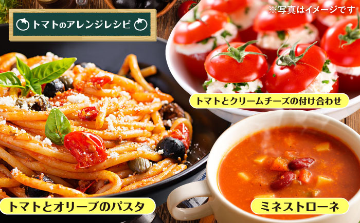 ☆今シーズンお届け☆ 訳あり ミニ トマト 約3kg ＜白石農園＞ [CBI003] 西海市産 トマト とまと 野菜 新鮮 旬 トマト 