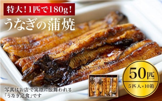 【肉厚180g×50匹】秘伝のタレで仕上げた国産うなぎの蒲焼 計９kg［CCA015］＜入口屋＞