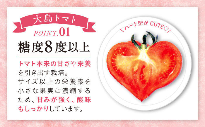 今シーズンお届け☆【 訳あり 】 糖度8度以上！ 大島 トマト 約1.8kg＜大島造船所 農産グループ＞ [CCK007] 長崎 西海 トマト とまと 大島トマト 高糖度 贈答 不揃い 訳あり