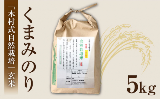 【 令和5年産 新米 ☆先行予約】【木村式自然栽培】 玄米 くまみのり 約 15kg ＜ハマソウファーム＞ [CBR018]