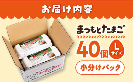 まつもと たまご Lサイズ 赤玉 40個（10個×4パック） 長崎県産 西海市 たまご 卵 玉子 タマゴ 鶏卵 オムレツ 卵かけご飯 朝食 料理 人気 卵焼き ＜松本養鶏場＞[CCD001]