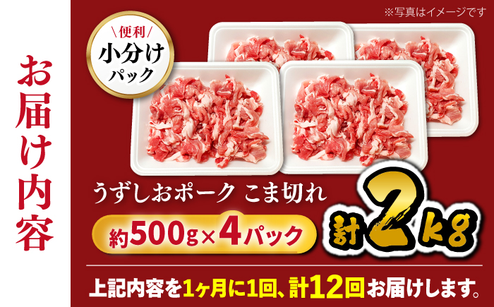 【12回定期便】【使い勝手◎】長崎うずしおポーク こま切れ 計2kg（500g×4P）＜スーパーウエスト＞ [CAG317]