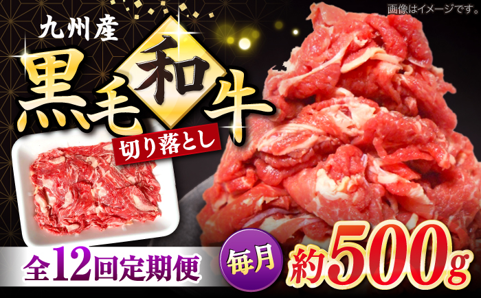 【12回定期便】長崎県産 黒毛和牛 切り落とし 約500g＜宮本畜産＞ [CFA052]