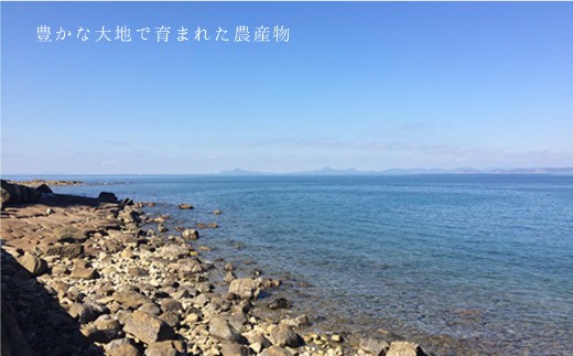 【5つの幸をお届け】海と山の幸セット（塩わかめ、乾燥ひじき、乾燥あおさ、干し大根、かんころもち）＜西海クリエイティブカンパニー＞ [CAA076]