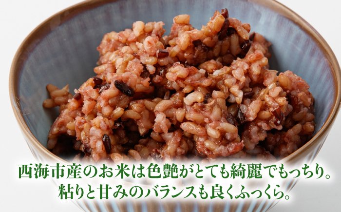 【3回定期便】【農家のこだわり米】黄金の発芽玄米 黒米入り 125g×7食＜AgriBaseさいかい＞ [CGV003]