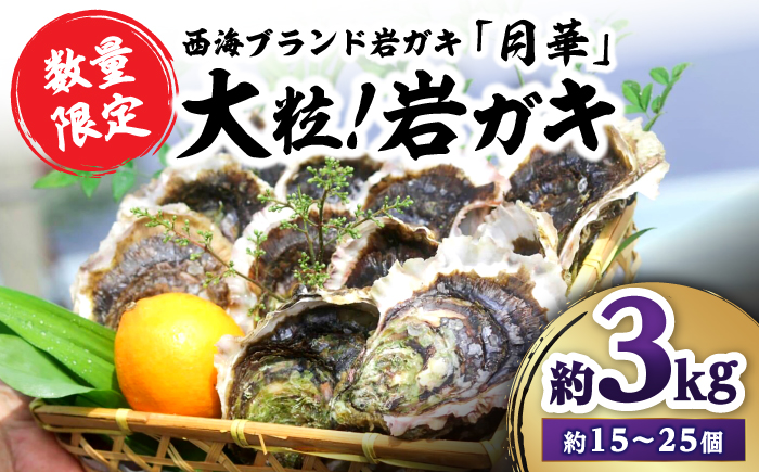 牡蠣 岩ガキ 約3kg（約20個〜30個） 牡蠣 カキ かき 生牡蠣 岩牡蠣 ナイフ付き 殻付き牡蠣 かき カキ ＜ハマフジ水産＞ [CES009]
