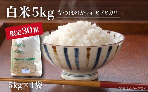 【先行予約☆数量限定】令和6年産新米！ 白米 （ なつほのか or ヒノヒカリ ） 5kg  白米 米 新米 5kg ひのひかり ＜夢農園 モリピー＞ [CEJ001]