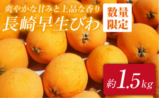 びわ ビワ（長崎早生） 約1.5kg 西海市 ビワ びわ 琵琶 果物 フルーツ ＜谷添正義＞ [CDM003]