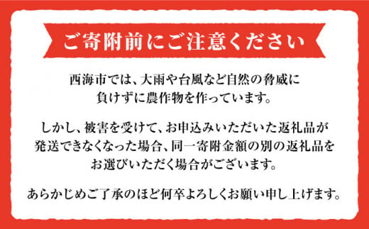 高糖度 トマト 【2025年収穫分先行予約】 高糖度 トマト 【糖度8度以上！】 大島トマト 約3kg   西海市産 トマト とまと 野菜 新鮮 旬 ＜大島造船所 農産グループ＞ [CCK005]