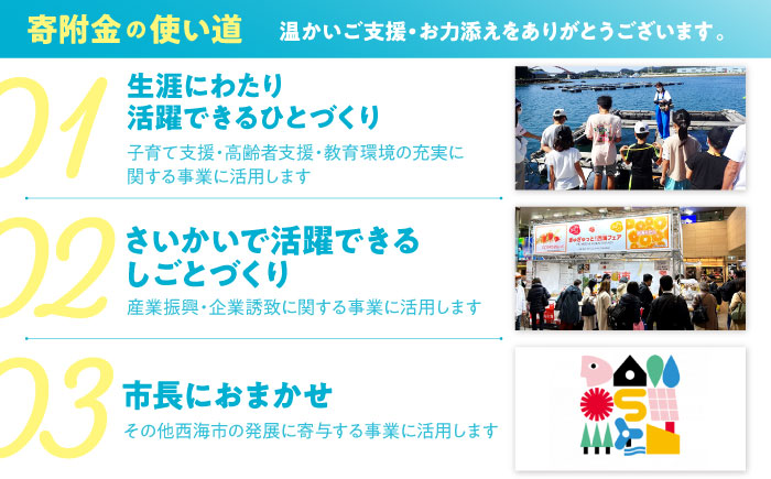 【返礼品なし】 長崎県 西海市 ふるさと応援寄附金（100,000円分） [CZZ036]