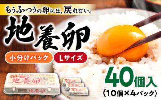 卵 最高級 地養 卵 Lサイズ 40個 長崎県産 西海市 たまご 卵 玉子 タマゴ 鶏卵 卵かけご飯 卵焼き たまご ＜垣山養鶏園＞ [CBB001]