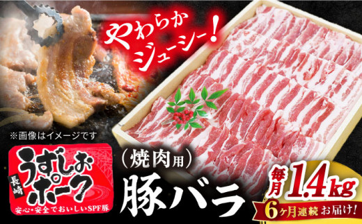 【訳あり】【6回 定期便 】 焼肉用 長崎うずしおポーク 豚バラ（ 焼肉 用）1.4kg 長崎 豚 豚肉 焼き肉 バラ BBQ ブランド豚＜スーパーウエスト＞ [CAG114]