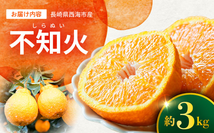 【☆先行予約☆】糖度13〜15度！ハウス木成 完熟 不知火 約3kg ＜原口果樹園＞ [CCW005] 西海市 デコポン 不知火 みかん 柑橘 完熟 甘い でこぽん 