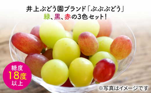 【訳あり】【ご家庭用におすすめ♪】県内唯一の技術で栽培した「ぶぶぶどう」ぶどう3色食べ比べ（1.5～2.0kg） [CCE008]