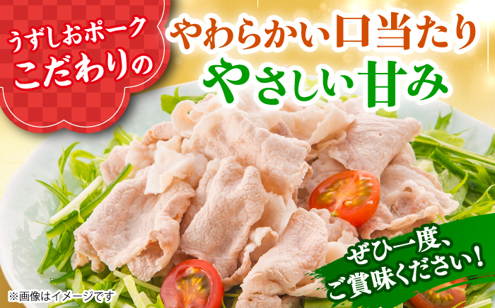 【3回定期便】【使い勝手◎】長崎うずしおポーク こま切れ 計1kg（500g×2P）＜スーパーウエスト＞ [CAG311]