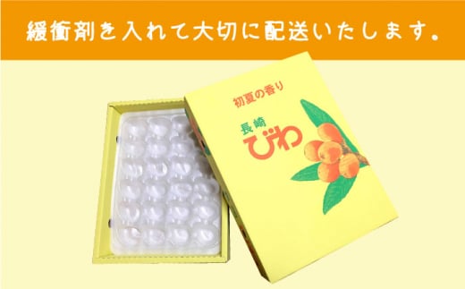 びわ 2Lサイズ 24玉（約1kg～1.5kg）  西海市 びわ ビワ 果物 フルーツ 2Lサイズ ＜代田浩人＞ [CEO001]