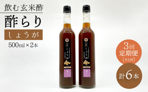 【飲む玄米酢】 【3回定期便】酢らり 大瓶2本セット（しょうが）＜川添酢造＞ [CDN095]