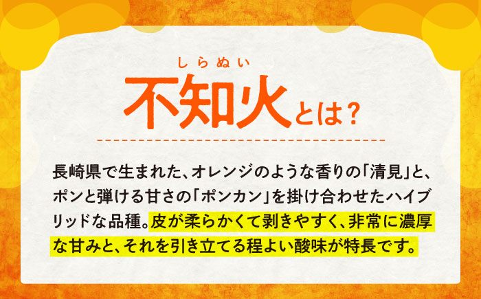 【☆先行予約☆】糖度13〜15度！ハウス木成 完熟 不知火 約3kg ＜原口果樹園＞ [CCW005] 西海市 デコポン 不知火 みかん 柑橘 完熟 甘い でこぽん 