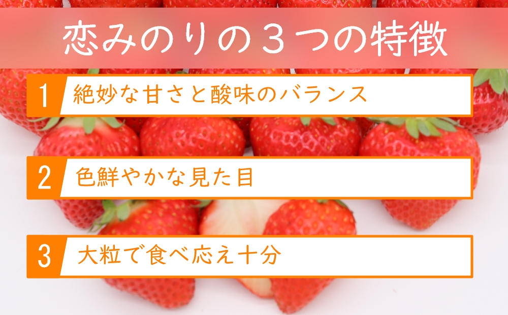 【先行受付】いちご 1kg以上 恋みのり 2Lサイズ以上 朝どれ シャインファームから直送 / 吉岡青果 / 長崎県 雲仙市 [item0832] / 果物 くだもの フルーツ イチゴ 苺 4パック 1キロ