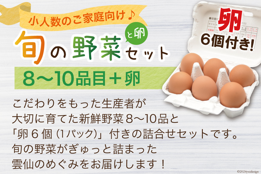 【12回毎月コース】雲仙のめぐみ 旬の野菜セット (S)【卵6個付き】 8～10品目セット [長崎県農産品流通 長崎県 雲仙市 item1575] 野菜 定期 野菜セット フルーツ 果物 くだもの 卵 たまご