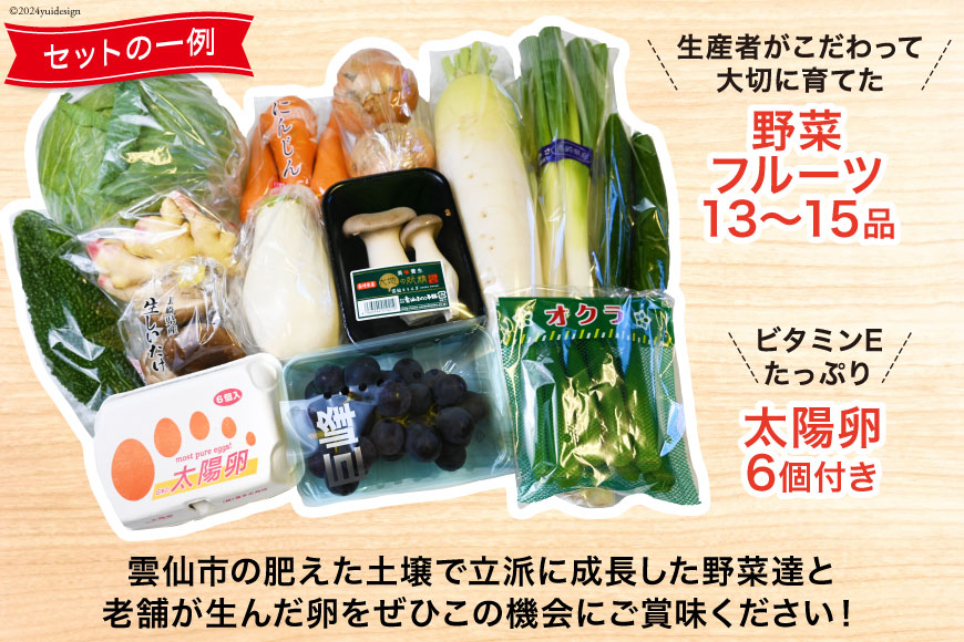 【6回偶数月コース】旬の野菜・フルーツセット 野菜 定期便 【太陽卵6個付き】 13品目から15品目の豪華セット [長崎県農産品流通 長崎県 雲仙市 item1569] 野菜 定期 野菜セット フルーツ 果物 くだもの 卵 たまご