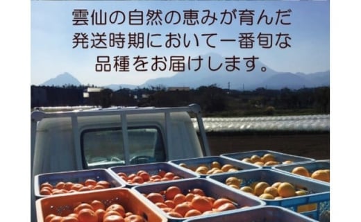 【期間限定発送】 みかん 季節のみかんセット 12kg（4kg×3箱） [森崎果樹園 長崎県 雲仙市 item1341] みかん 果物 くだもの ミカン セット 12キロ 期間限定