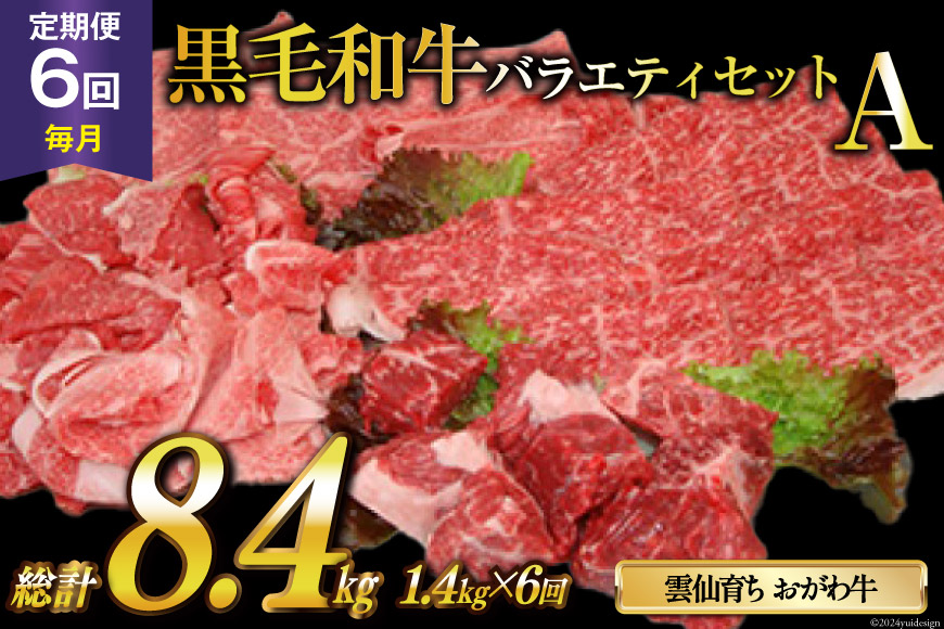 定期便 6回 牛肉 雲仙育ち おがわ牛 バラエティーセットA 総計8.4kg(1.4kg×6回) [焼肉おがわ 長崎県 雲仙市 item1847] 黒毛和牛 上ロース モモ 切落とし スライス 薄切り肉 冷凍