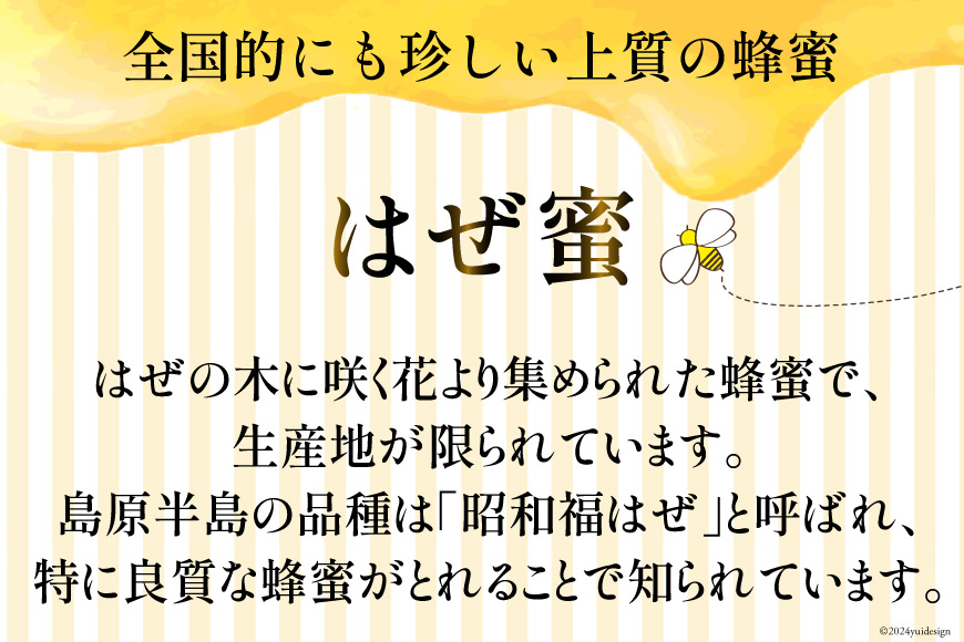 3回 定期便 はちみつ 国産はちみつ ( 百花蜜 ・ はぜ蜜 ) 500g×3回 計1.5kg [村木養蜂場 長崎県 雲仙市 item1312] はちみつ 国産 蜂蜜 ハチミツ