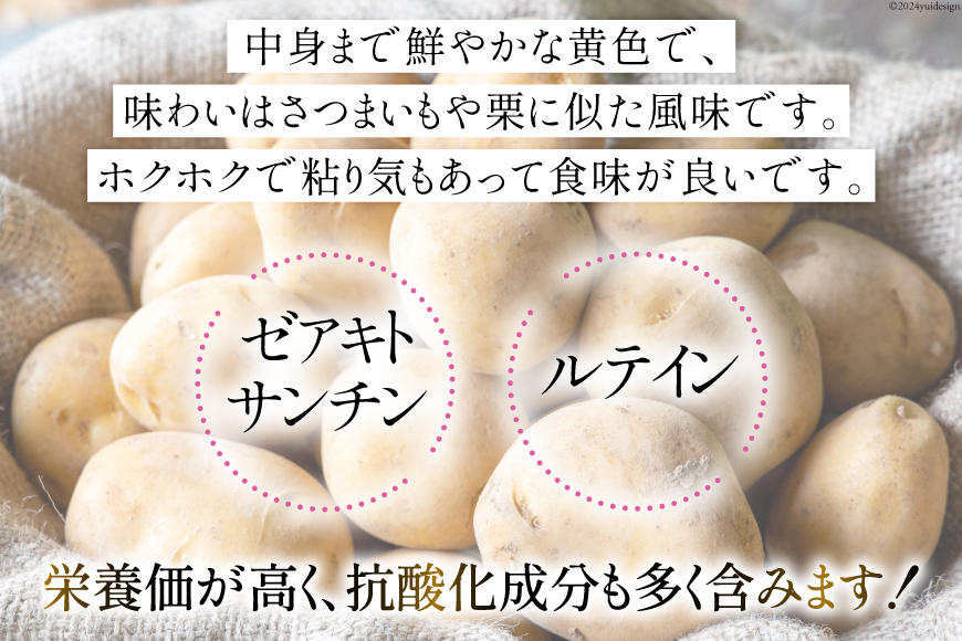 マツコの知らない世界で紹介【期間限定発送】 じゃがいも ながさき黄金 5kg ( 秋じゃがいも ) [南串ながさき黄金生産組合 長崎県 雲仙市 item1355] ジャガイモ 秋ジャガイモ 野菜 5キロ 期間限定