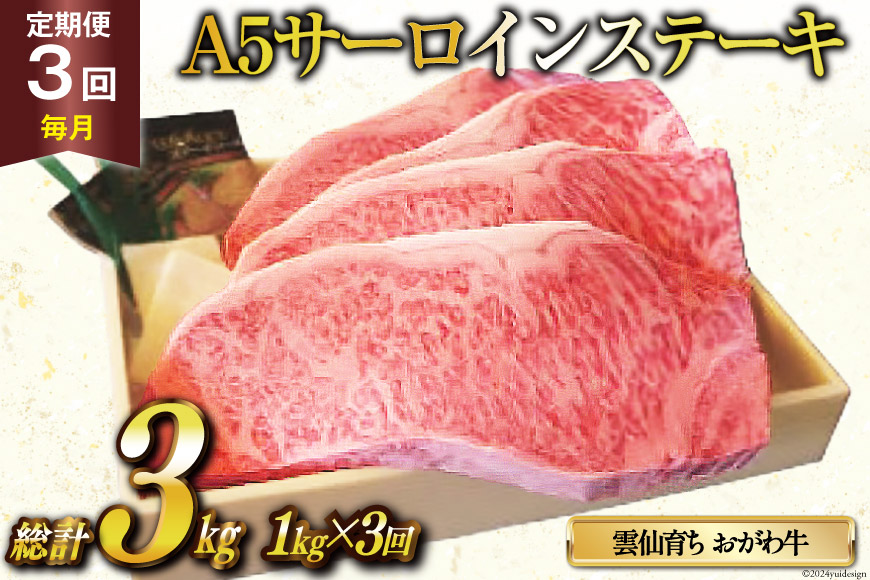 定期便 3回 牛肉 雲仙育ち おがわ牛 A5 サーロインステーキ 総計3kg(1kg×3回) ステーキ 黒毛和牛 冷凍 [焼肉おがわ 長崎県 雲仙市 item1844]