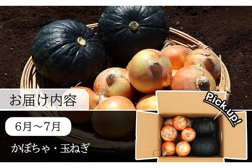 定期便 9回 常備野菜 セット 約5kg 詰め合わせ [吉岡青果 長崎県 雲仙市 item1830] じゃがいも 玉ねぎ 人参 かぼちゃ