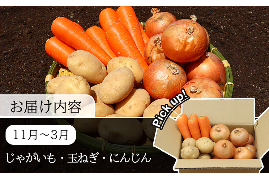 定期便 9回 常備野菜 セット 約5kg 詰め合わせ [吉岡青果 長崎県 雲仙市 item1830] じゃがいも 玉ねぎ 人参 かぼちゃ