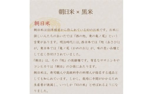 甘酒 幻の名品 「 雲仙の朝日 」 500ml×2本 セット [長崎県農産品流通 長崎県 雲仙市 item1563] あまざけ 無添加 米麹 数量限定 期間限定