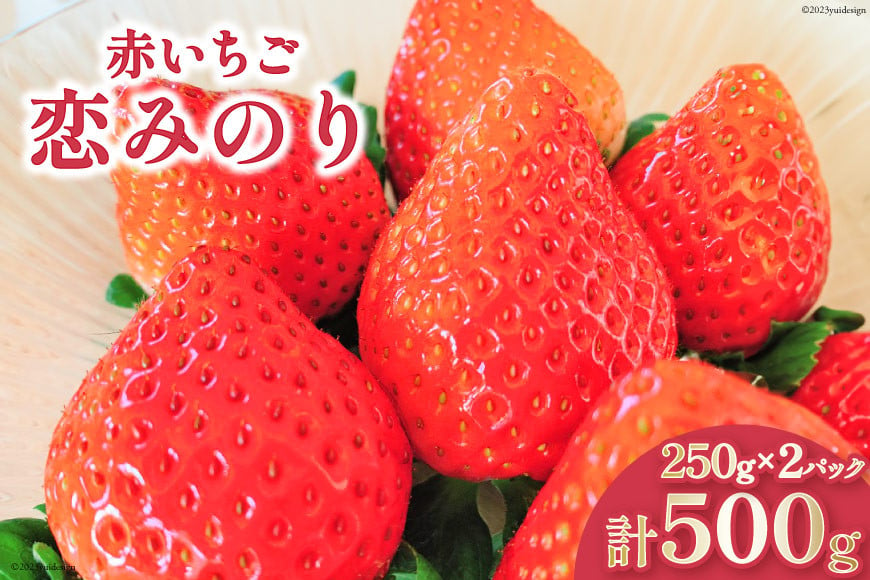 【好評により受付再開】 いちご 赤いちご 恋みのり 250g×2パック [トトノウ 長崎県 雲仙市 item1414] 苺 イチゴ クリスマス フルーツ 果物 くだもの 期間限定 季節限定