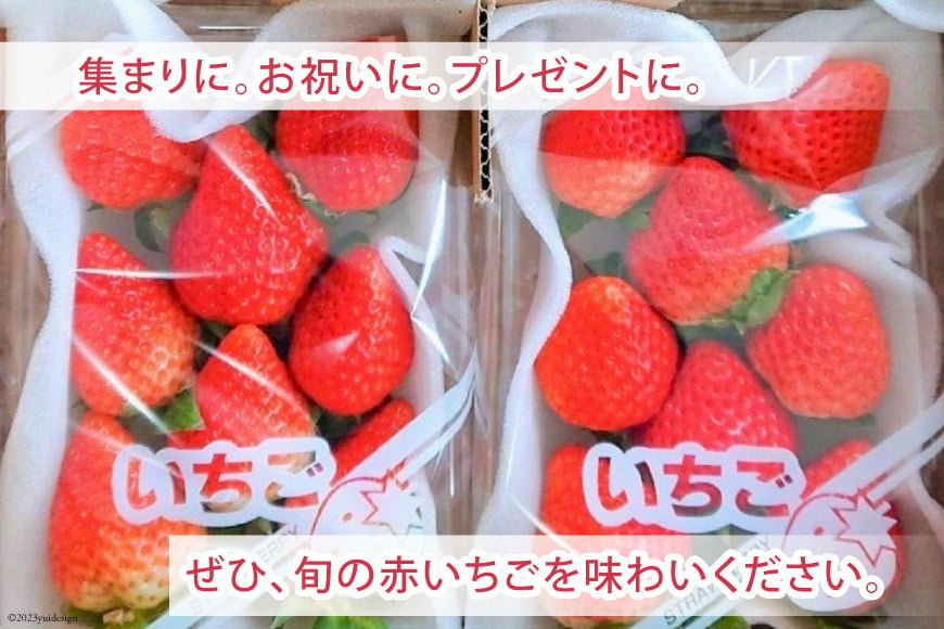 【好評により受付再開】 いちご 赤いちご 恋みのり 250g×2パック [トトノウ 長崎県 雲仙市 item1414] 苺 イチゴ クリスマス フルーツ 果物 くだもの 期間限定 季節限定