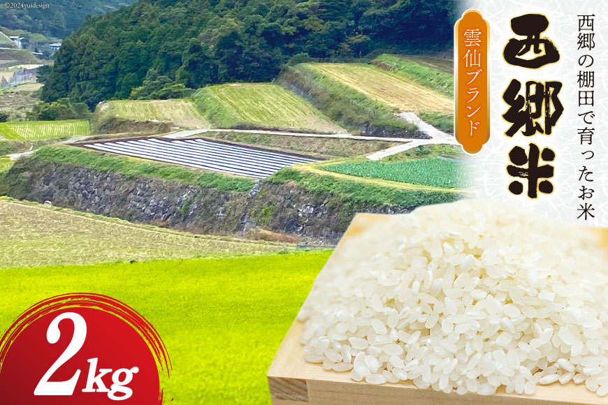 米 令和6年 西郷米 2kg 1袋 白米 [雲仙みずほの郷 長崎県 雲仙市 item2026] 令和6年産 お米 おこめ 精米