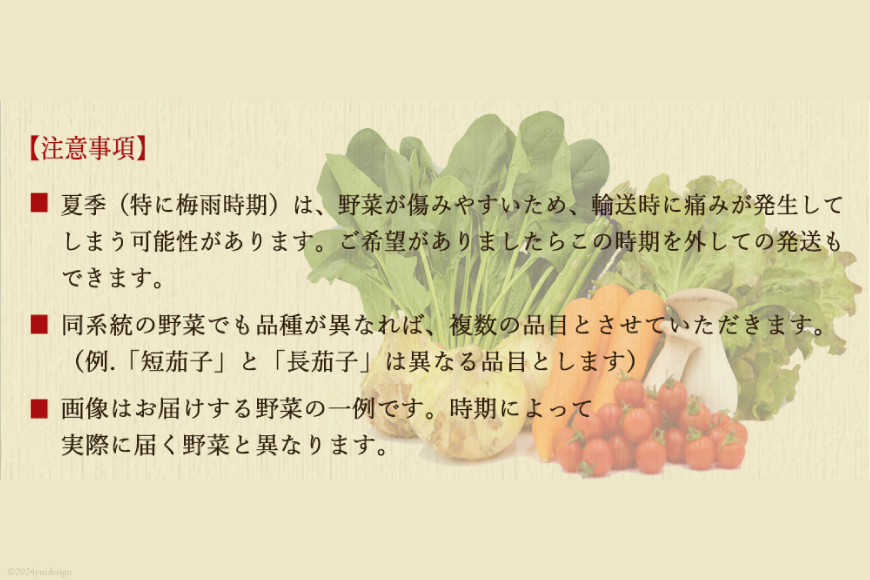 雲仙こだわり野菜セット 野菜・フルーツ8〜9品目＋太陽卵10個 詰め合わせ [吉岡青果 長崎県 雲仙市 item1275] 野菜 フルーツ 卵 セット 旬の野菜