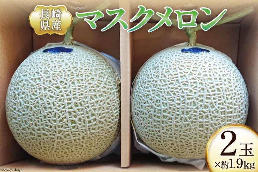 【期間限定発送】メロン マスクメロン 約1.9kg×2玉 [シミズ farm 長崎県 雲仙市 item2042] フルーツ 果物 2玉