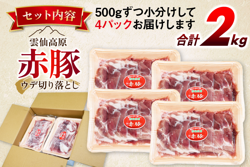 雲仙高原 赤豚 国産 豚ウデ 切り落とし 2kg 500g×4p [長崎県農産品流通 長崎県 雲仙市 item1582] 豚肉 肉 切落し