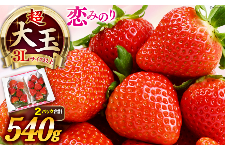 大玉限定！ いちご 恋みのり 約540g 270g 2パック 3L サイズ以上 [長崎県農産品流通 長崎県 雲仙市 item2033] イチゴ 苺 フルーツ 果物 季節限定