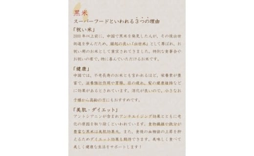 甘酒 幻の名品 「 雲仙の朝日 」 500ml×2本 セット [長崎県農産品流通 長崎県 雲仙市 item1563] あまざけ 無添加 米麹 数量限定 期間限定