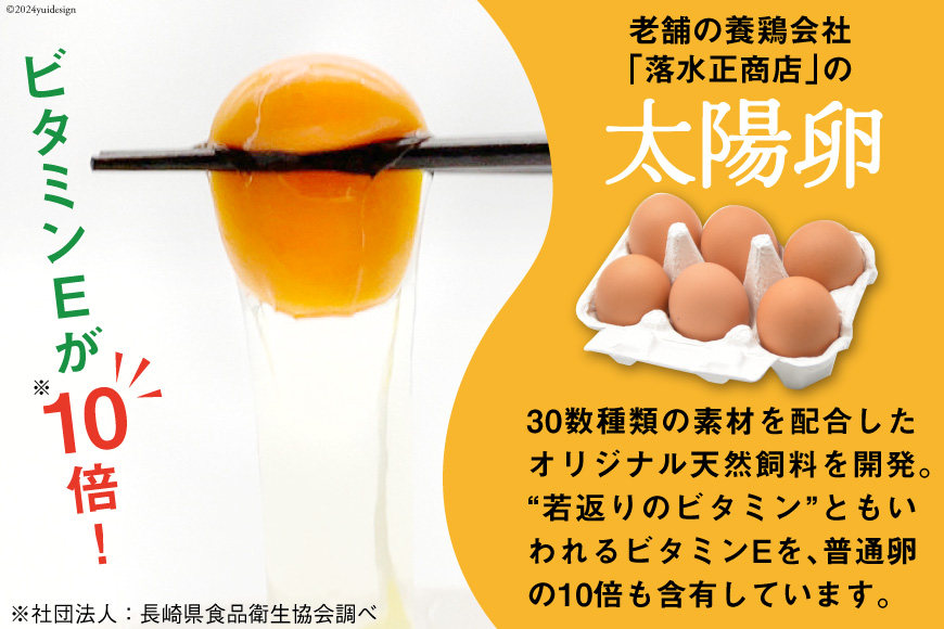 【12回毎月コース】旬の野菜・フルーツセット 野菜 定期便 【太陽卵6個付き】 13品目から15品目の豪華セット [長崎県農産品流通 長崎県 雲仙市 item1571] 野菜 定期 野菜セット フルーツ 果物 くだもの 卵 たまご