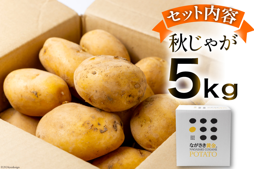 マツコの知らない世界で紹介【期間限定発送】 じゃがいも ながさき黄金 5kg ( 秋じゃがいも ) [南串ながさき黄金生産組合 長崎県 雲仙市 item1355] ジャガイモ 秋ジャガイモ 野菜 5キロ 期間限定