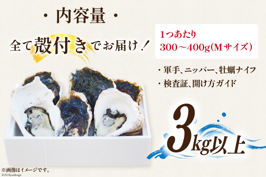 【期間限定発送】 岩牡蠣 生食 3kg 以上 [天洋丸 長崎県 雲仙市 item1907] 牡蠣 かき カキ 冷凍 いわがき 岩がき 殻付 殻付き 先行予約