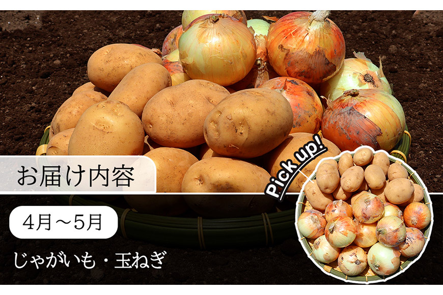 定期便 9回 常備野菜 セット 約5kg 詰め合わせ [吉岡青果 長崎県 雲仙市 item1830] じゃがいも 玉ねぎ 人参 かぼちゃ